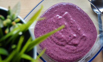 Oatmeal smoothie with Forest Fruits