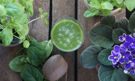 Green smoothie with spinach and kiwi