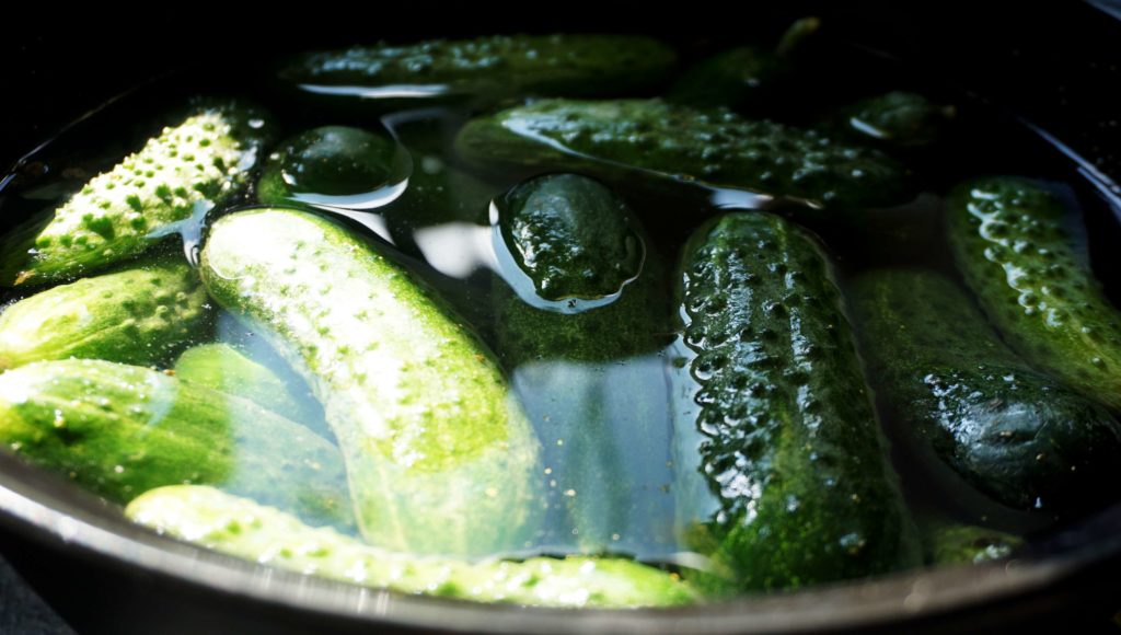 semi-pickled cucumbers