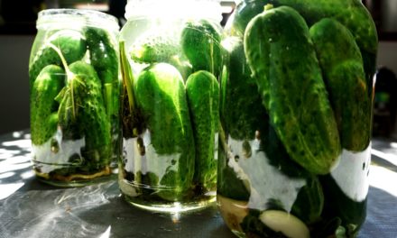 Semi-pickled cucumber (Lightly salted cucumber)